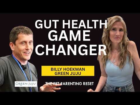 How Green Juju’s Soil Probiotic Transformed Dog Symptoms New Study Results