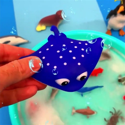 Meet the Ocean Animals! 🦭🐧🐬 Fun for Kids