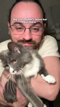 Guy Finds Soul Cat In His Parents' Backyard | The Dodo