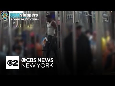 Bronx man says he suffered a concussion after being shoved into train