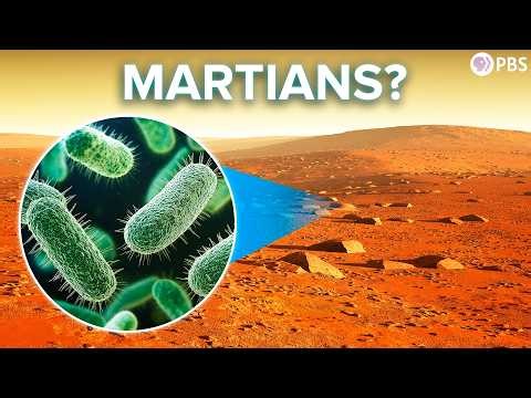 Martian Soil Is Deadly. And That's Why It Might Support Life.