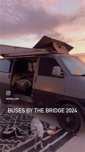 Buses by the Bridge - January 2024