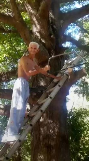 Tarzan ❤️ #fyp #fyp #tarzan | Tarzan