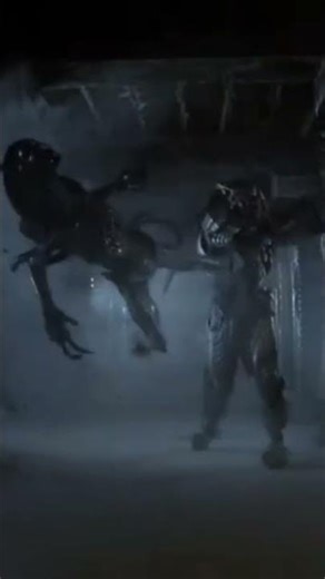 alien versus predator