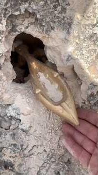 searching for treasure inside solid rock #archaeology #treasuresearch #gold