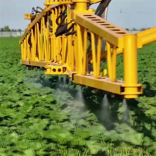 AI robots work in cotton fields across NW China’s Xinjiang — spraying, weeding, and topping plants. All automated, no human in sight.