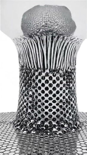 This should not be possible... 🪷🔘