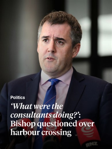 Why the Waitematā Harbour Crossing is Paused: Bishop Explains