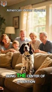 This Dog Was Almost Extinct #dogbreeds #history