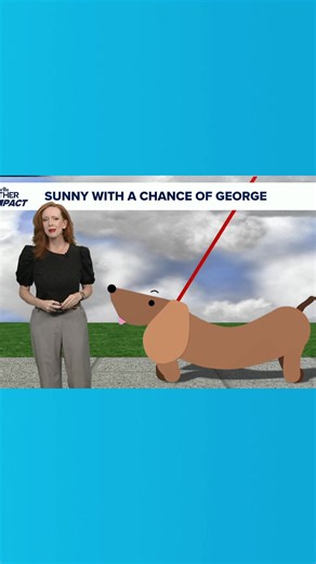 THV11 Meteorologist Tracy Beene shares the