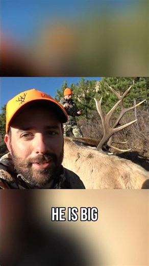 Big old heavy 7 top BULL DOWN! #elkhunting #elk #buckstormsd #hunting