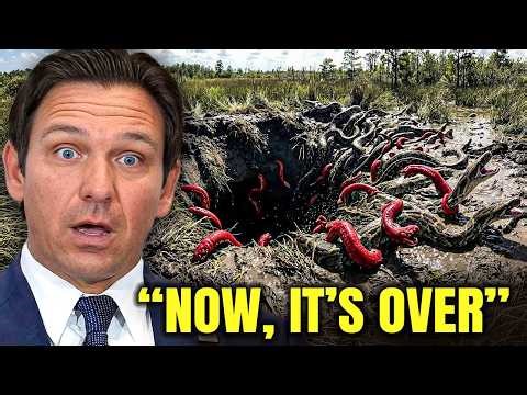 Something Is EATING Pythons ALIVE in Florida... And They Finally Caught It On Camera!!