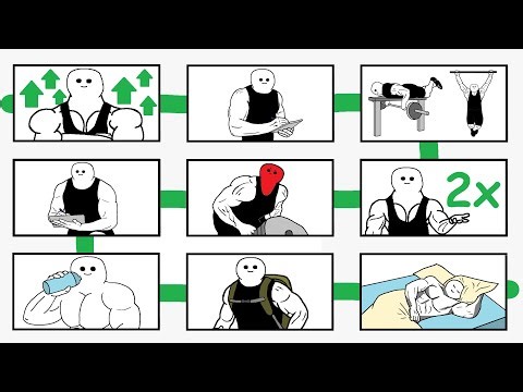 Follow 9 Steps, Build Maximum Muscle