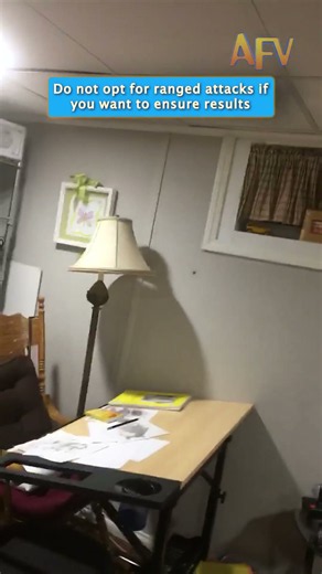 How NOT to handle a spider in your house #fails #funny #spider