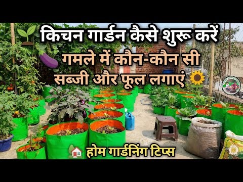 🌱 किचन गार्डन कैसे शुरू करें | 🍆 गमले में कौन-कौन सी सब्जी और फूल लगाएं 🌻 | 🏡 होम गार्डनिंग टिप्स