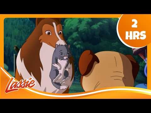 🐶 Saving Animals & Making New Friends! | The New Adventures of Lassie | Cartoons For Kids