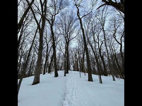 Art of the State (Parks): Winter at Lake Maria