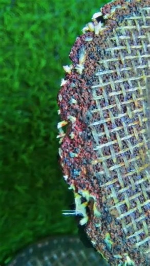 Worn-Out Disc Explosion Dangerous Tool Failure #steelframe