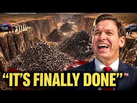 Florida's $31BN Ecosystem that will END the Burmese Python Invasion! | Everglades