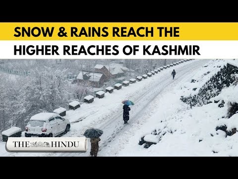 Snowfall returns to Kashmir as 40-day Chillai-Kalan period begins