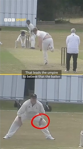 WHY HAS THIS LOCAL CRICKET MATCH GONE VIRAL?