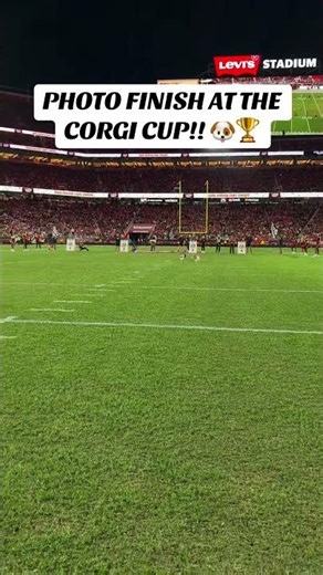 The little guy at the end 😂🥺