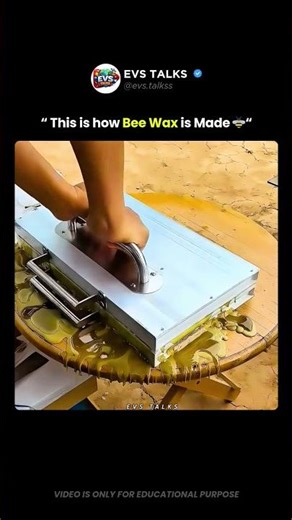 This Is How Artificial Bee Wax Is Made 😳🐝🏭