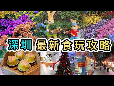 【深圳行程攻略】超充實：飲茶➕五萬呎花展➕市集➕配眼鏡➕西餐👊羅湖東湖公園菊花展🌻性價比勁高的隱世西餐🍽半島酒家｜會展中心站｜艾斯眼鏡｜深圳西餐廳｜深圳美食｜深圳好去處｜北上攻略