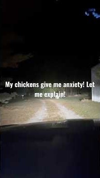 My chickens give me anxiety, let me explain. #chicken #farming #homestead #anxiety #goats