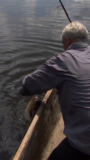 Watch your fingers AND toes! 😲 #rivermonsters #jeremywade #fishing | jeremy wade