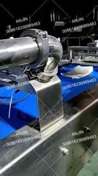 Fully Automatic Egg Roll Production Line | Spring Roll Making Machine