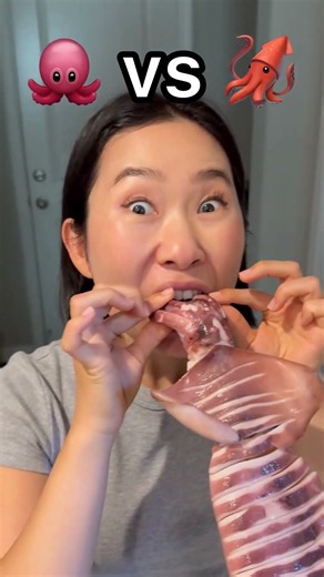 Octopus 🐙 vs Squid 🦑