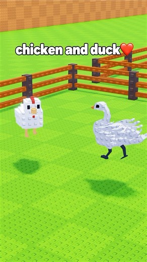 chicken and duck sad story😭
