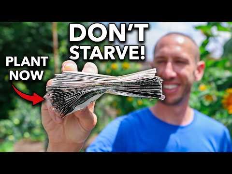 15 Perfect Crops to Plant in March