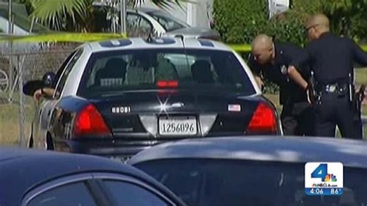 100 burglary arrests made across Los Angeles over the last month