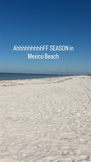 HELLO OFF SEASON. 🌊 Fall in Mexico Beach. Less traffic, fewer people, and a whole lot more empty beach. This is not a vacation shot. This is a Wednesday. I live here. I sell real estate here. And I share what everyday life on the Forgotten Coast looks like. Comment LOCAL and I’ll send you my free guide to the best beaches and communities along the Forgotten Coast so you can figure out which one feels like home. 🏠🏝️