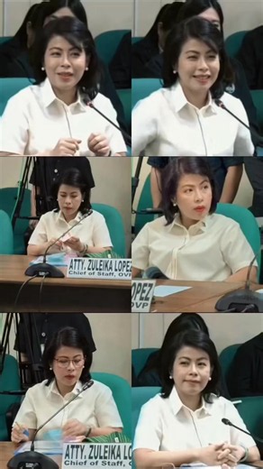 Atty. Z's Pretty Smile at Today's OVP Budget Hearing at the Senate