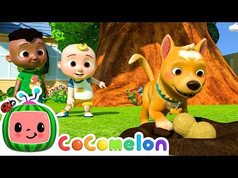 Learning opposites with our pets! | It's Cody Time 🍉 | CoComelon Songs for Kids & Nursery Rhymes