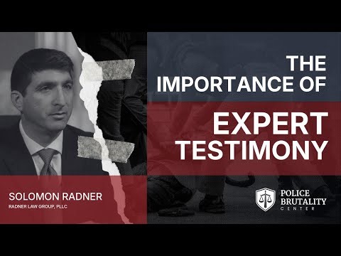 What role does expert testimony play when mental illness is involved in a police brutality case?
