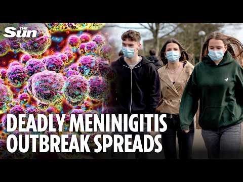 More meningitis cases hit UK as government admits worry over spread - so should you be concerned?