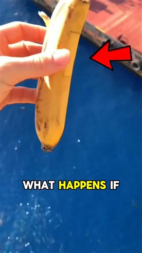 Chicken vs Banana in the Ocean! 🤯