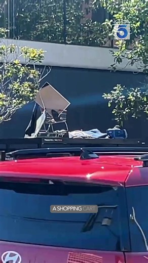 Homeless encampment spotted atop Los Angeles bus stop shelter | homeless in los angeles