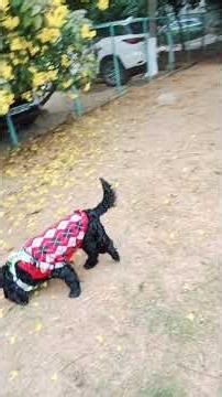 1 जनवरी 2026