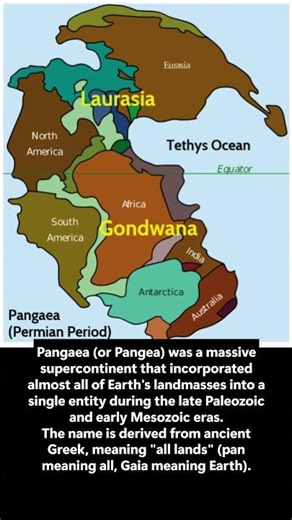 The Man Who Said Continents Move! 🌍 (Alfred Wegener) #shorts