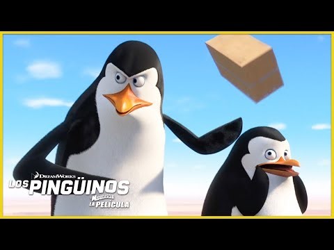 ¿Los pingüinos sobreviven a un accidente de avión? ✈️🐧 | DreamWorks Madagascar en Español Latino
