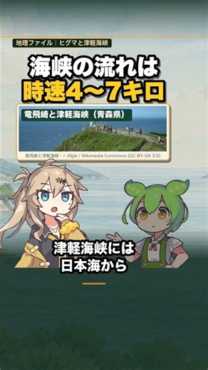 野生のヒグマは北海道だけ、でも本州にも2万年前までいた｜津軽海峡 #shorts