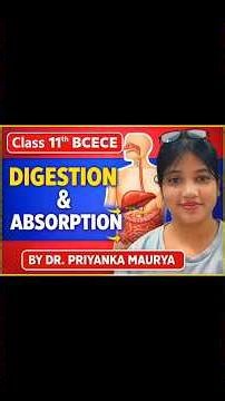 ‼️Digestion and absorption ‼️ #shortvideo #bcece2026 #biology
