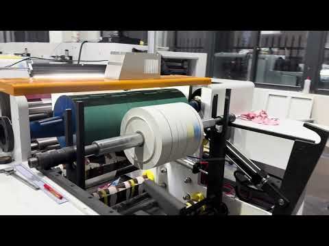 High Speed Sticker Labels Printing Machine Palstic Film Flexographic Printing Machine