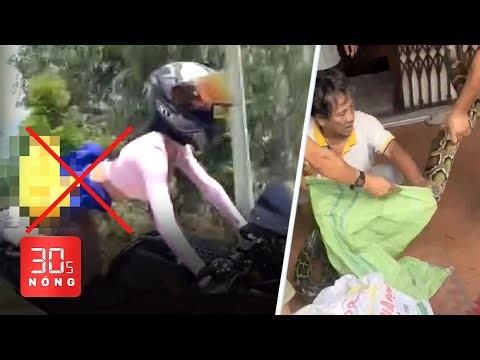 Bản tin 30s Nóng: Người phụ nữ Nga chạy mô tô phản cảm ở Khánh Hòa; Bắt trăn khủng bò vào nhà dân