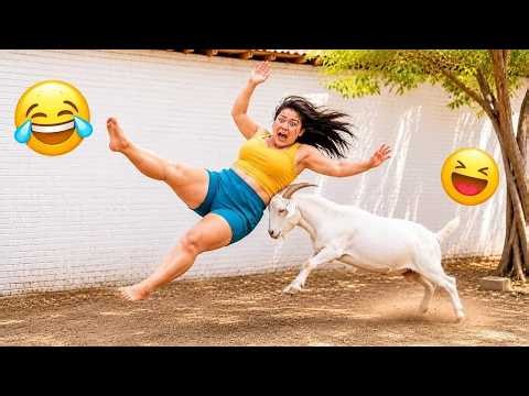 😂 Try Not To Laugh 🤣 | Funny Moments Compilation 🔥#10